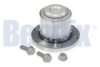 VW 2E0407303AA Wheel Bearing Kit